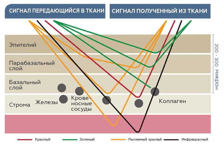 Диагностическая система TruScreen